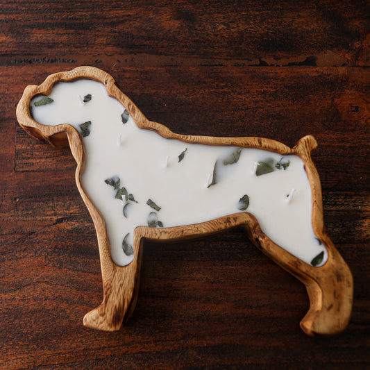 Boxer Doughbowl Candle