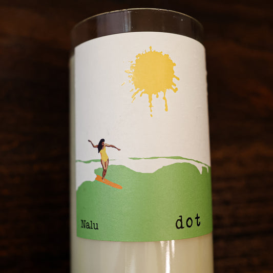 Sun Chaser