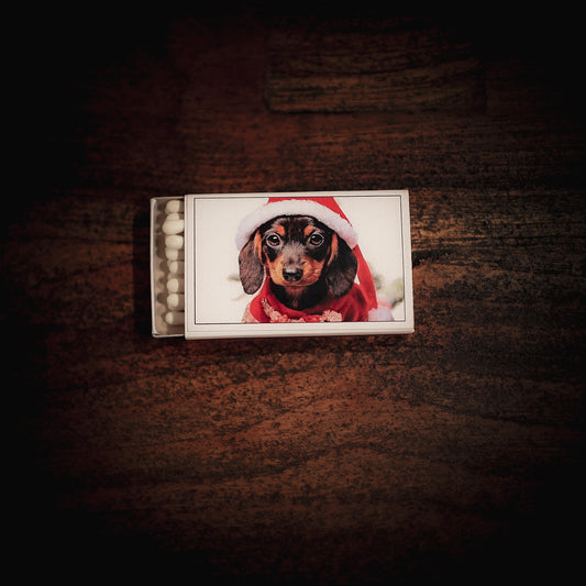 Christmas Dachshund Matchbox