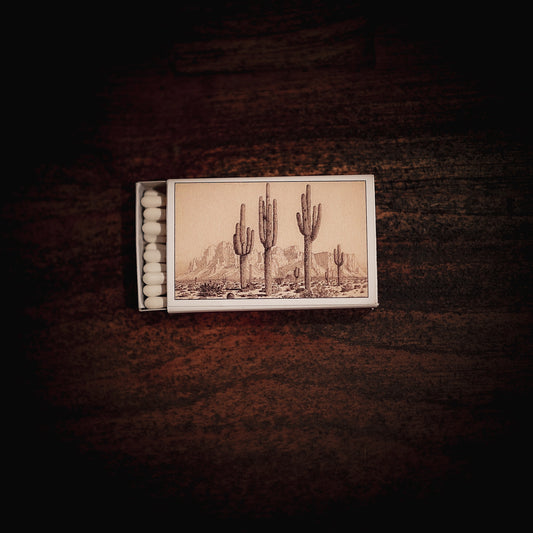 Cactus Arizona Matchbox