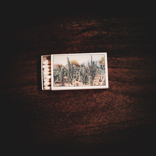 Cactus Garden in Desert Matchbox