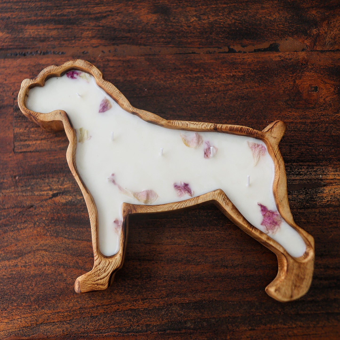 Boxer Doughbowl Candle