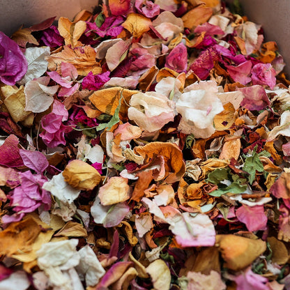 Texas Dried Floral Confetti