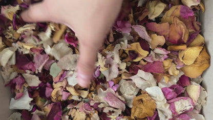 Texas Dried Floral Confetti