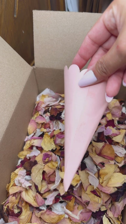Texas Dried Floral Confetti